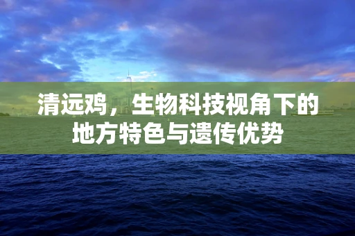 清远鸡，生物科技视角下的地方特色与遗传优势