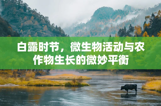 白露时节，微生物活动与农作物生长的微妙平衡