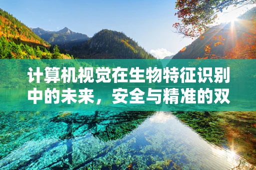 计算机视觉在生物特征识别中的未来，安全与精准的双重挑战？