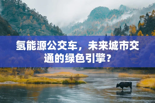 氢能源公交车，未来城市交通的绿色引擎？