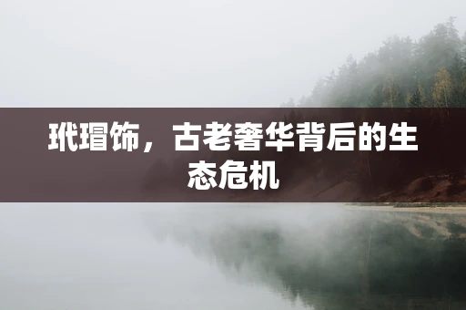 玳瑁饰，古老奢华背后的生态危机