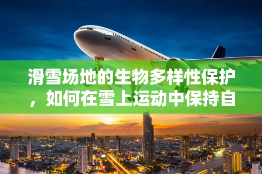 滑雪场地的生物多样性保护，如何在雪上运动中保持自然生态平衡？