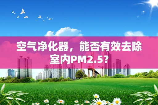 空气净化器，能否有效去除室内PM2.5？