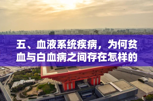 五、血液系统疾病，为何贫血与白血病之间存在怎样的关联？