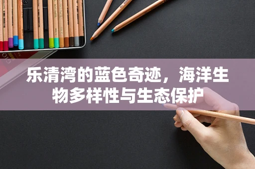 乐清湾的蓝色奇迹，海洋生物多样性与生态保护