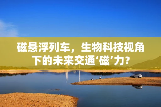 磁悬浮列车，生物科技视角下的未来交通‘磁’力？