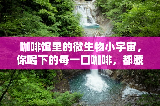 咖啡馆里的微生物小宇宙，你喝下的每一口咖啡，都藏着怎样的微生物故事？