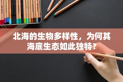 北海的生物多样性，为何其海底生态如此独特？