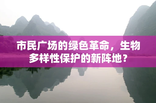 市民广场的绿色革命，生物多样性保护的新阵地？