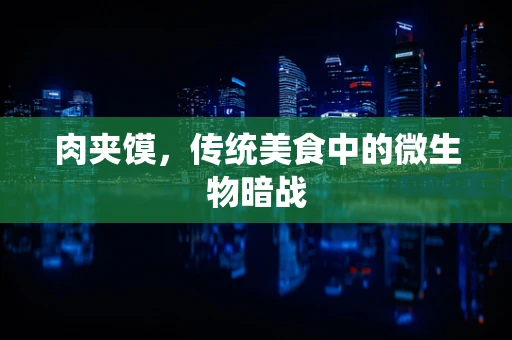 肉夹馍，传统美食中的微生物暗战