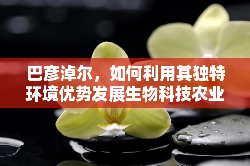 巴彦淖尔，如何利用其独特环境优势发展生物科技农业？