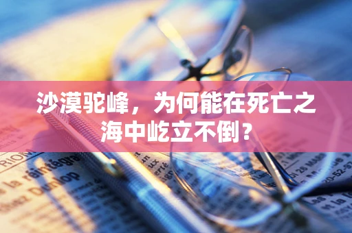 沙漠驼峰，为何能在死亡之海中屹立不倒？