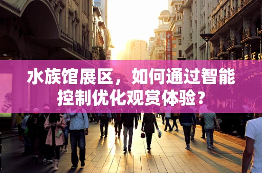 水族馆展区，如何通过智能控制优化观赏体验？