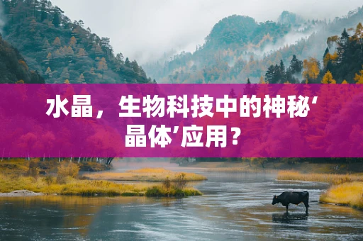 水晶，生物科技中的神秘‘晶体’应用？