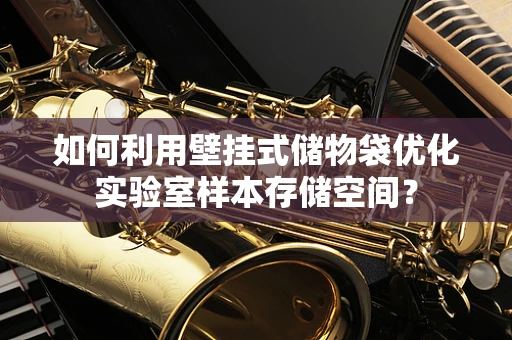 如何利用壁挂式储物袋优化实验室样本存储空间？