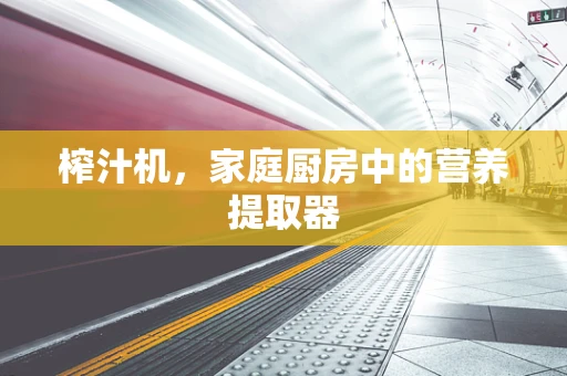 榨汁机，家庭厨房中的营养提取器