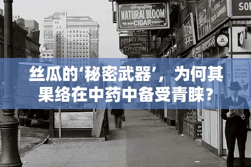 丝瓜的‘秘密武器’，为何其果络在中药中备受青睐？
