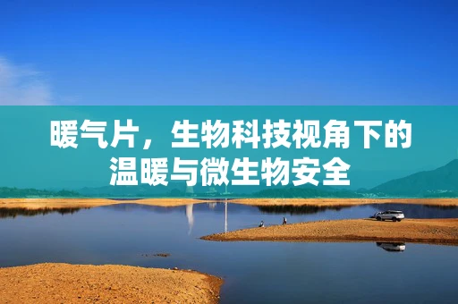 暖气片，生物科技视角下的温暖与微生物安全