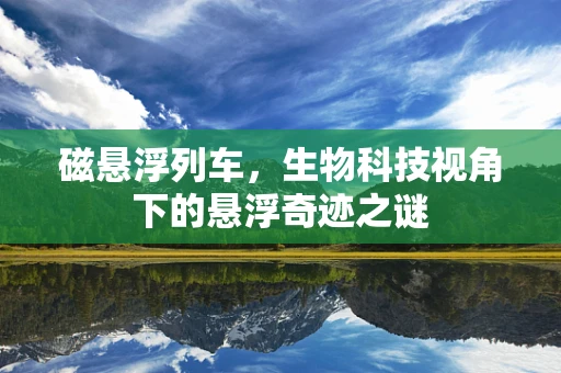 磁悬浮列车，生物科技视角下的悬浮奇迹之谜