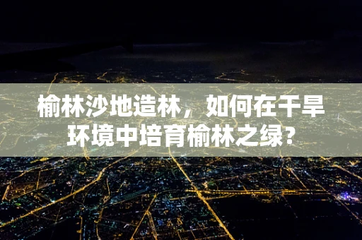 榆林沙地造林，如何在干旱环境中培育榆林之绿？
