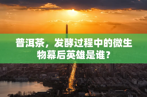 普洱茶，发酵过程中的微生物幕后英雄是谁？