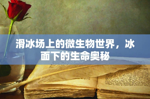 滑冰场上的微生物世界，冰面下的生命奥秘