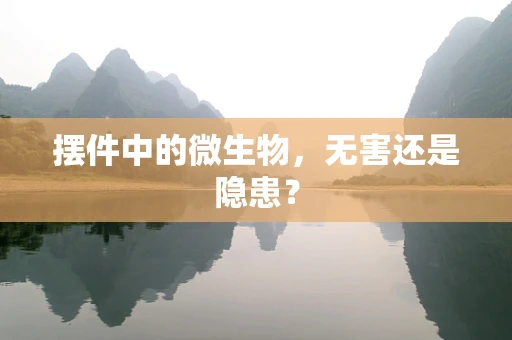 摆件中的微生物，无害还是隐患？