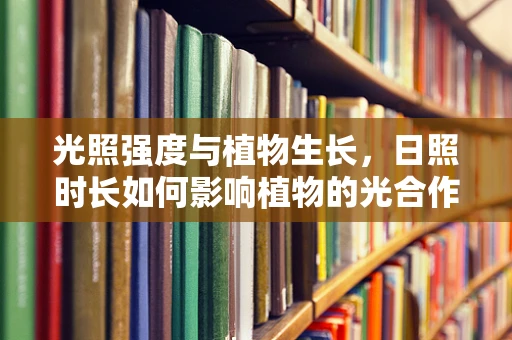 光照强度与植物生长，日照时长如何影响植物的光合作用？
