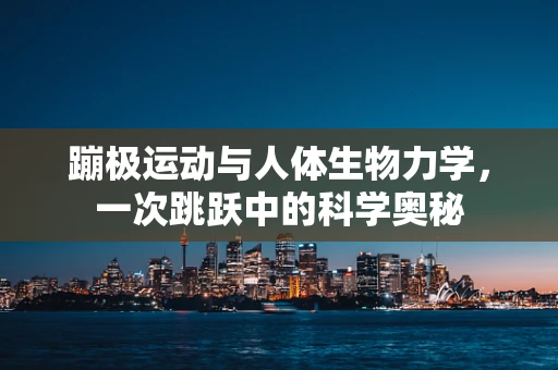 蹦极运动与人体生物力学，一次跳跃中的科学奥秘