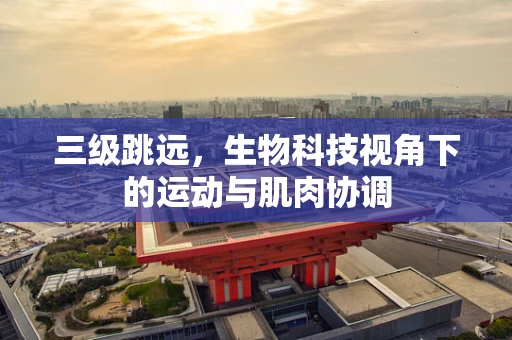 三级跳远，生物科技视角下的运动与肌肉协调