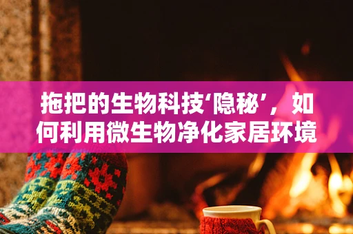 拖把的生物科技‘隐秘’，如何利用微生物净化家居环境？