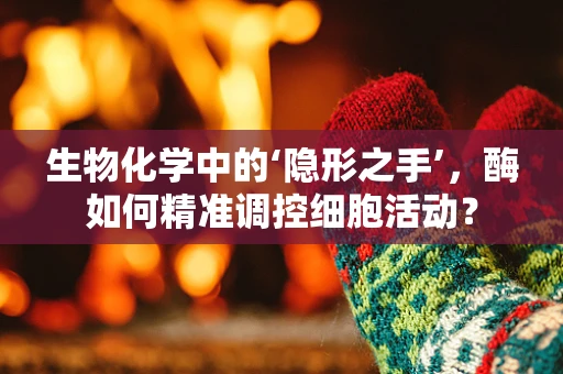 生物化学中的‘隐形之手’，酶如何精准调控细胞活动？