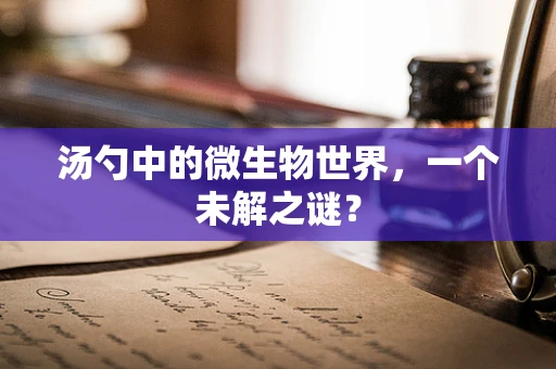 汤勺中的微生物世界，一个未解之谜？