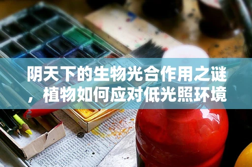 阴天下的生物光合作用之谜，植物如何应对低光照环境？