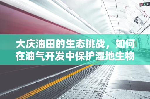 大庆油田的生态挑战，如何在油气开发中保护湿地生物多样性？