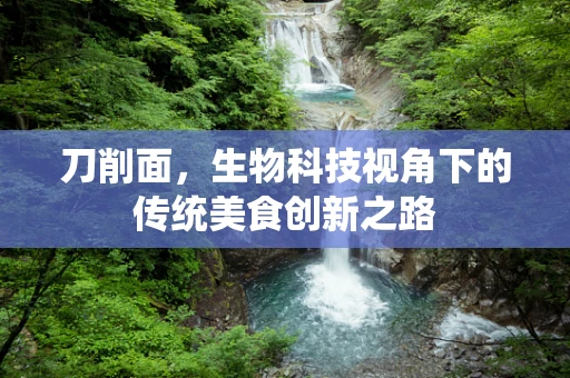 刀削面，生物科技视角下的传统美食创新之路