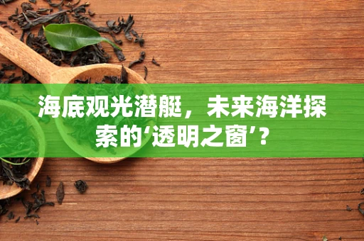 海底观光潜艇，未来海洋探索的‘透明之窗’？