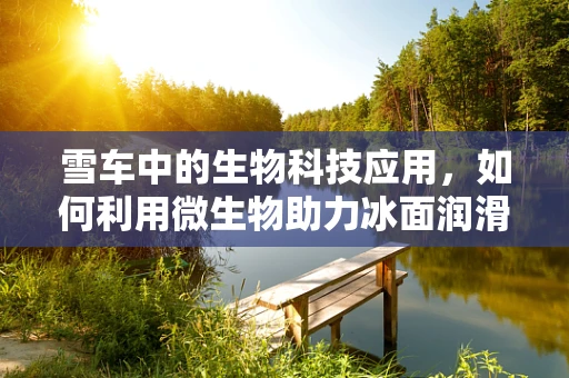 雪车中的生物科技应用，如何利用微生物助力冰面润滑？