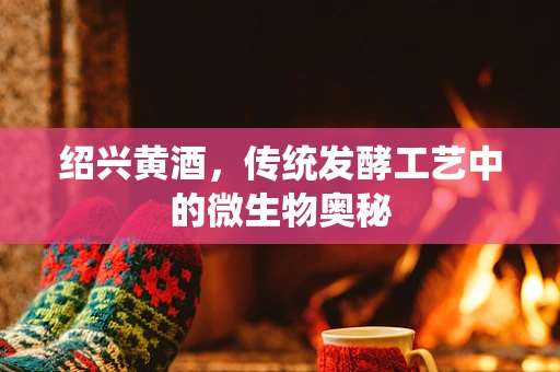 绍兴黄酒，传统发酵工艺中的微生物奥秘